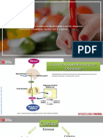 Aula 2 - Apostila - Modulação Hormonal e Tratamento Da Obesidade