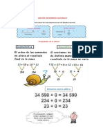 Adición de Numeros Naturales 2022