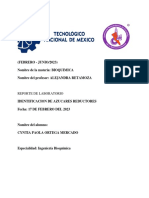 Práctica. Identificacion de Azucares Reductoras