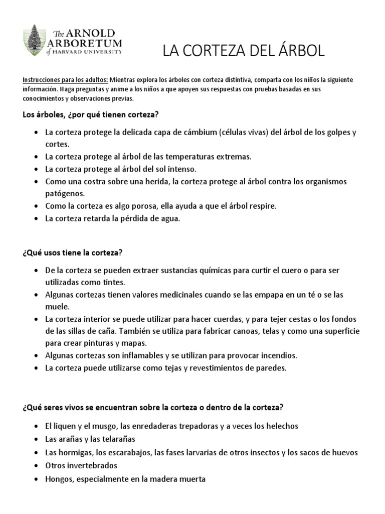 TREE BARK Spanish PDF Arboles Organismos