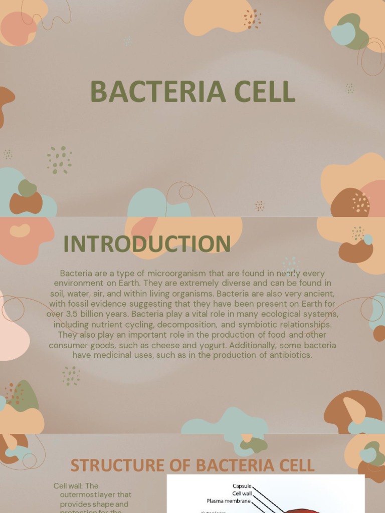 Overview of Bacteria Cell Structure | PDF | Bacteria | Cell (Biology)