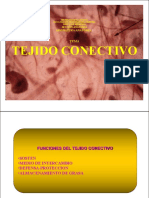 Clase Tejido Conectivo