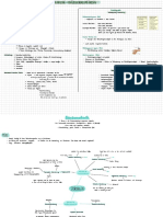 Neurology Basics For PTs