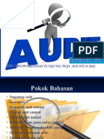 Audit Internal