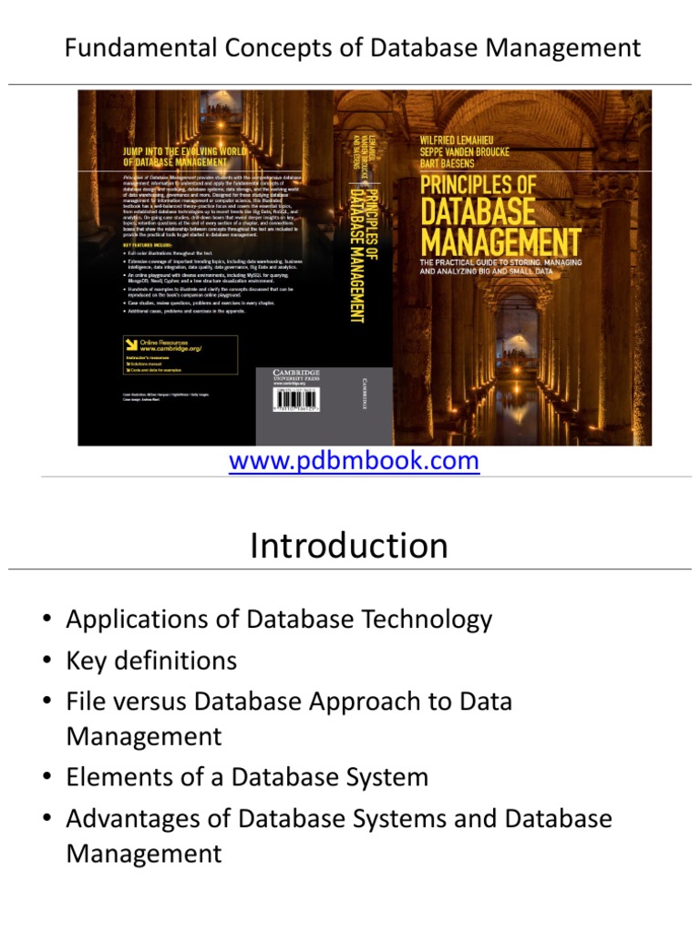 Database Management System Essentials | PDF | Databases | Data Model