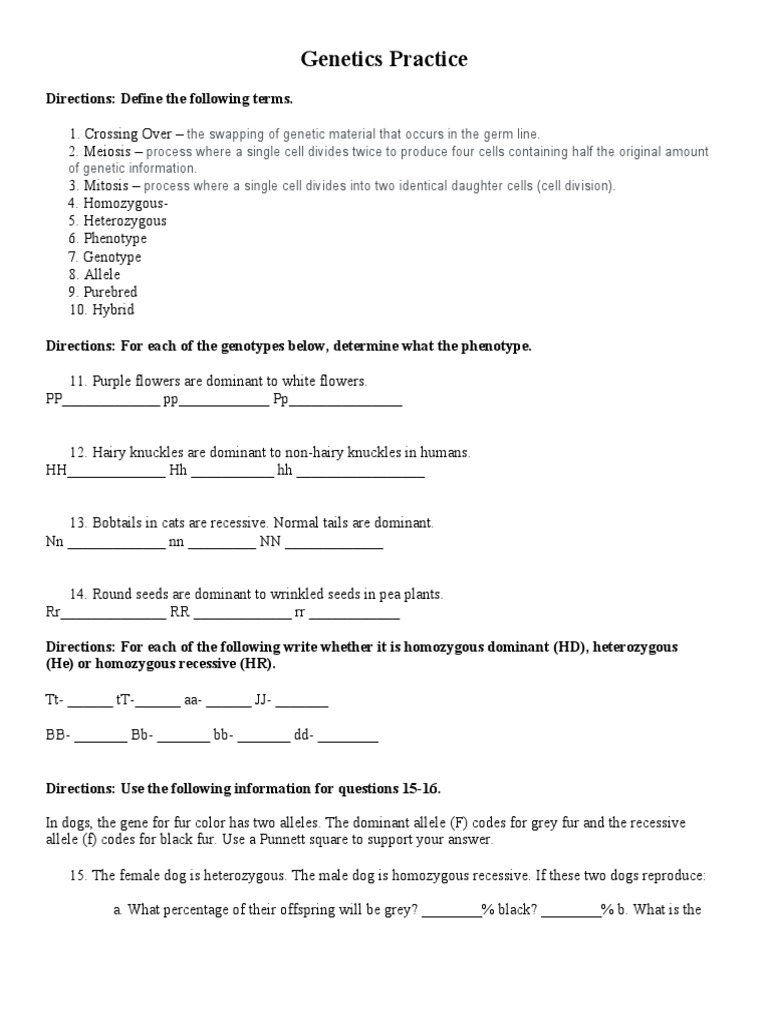Genetics Terms and Punnett Square Practice | PDF | Dominance (Genetics ...