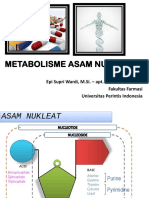 Metabolisme Asam Nukleat: Epi Supri Wardi, M.Si. - Apt. Oktafera, M.Farm. Fakultas Farmasi Universitas Perintis Indonesia