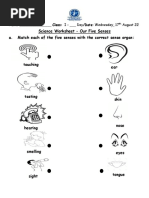 Worksheets (17th - 18th August 2022)