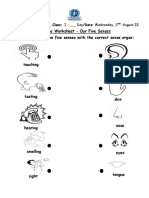 Worksheets (17th - 18th August 2022)