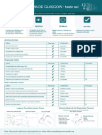 GCS Assessment Aid Spanish