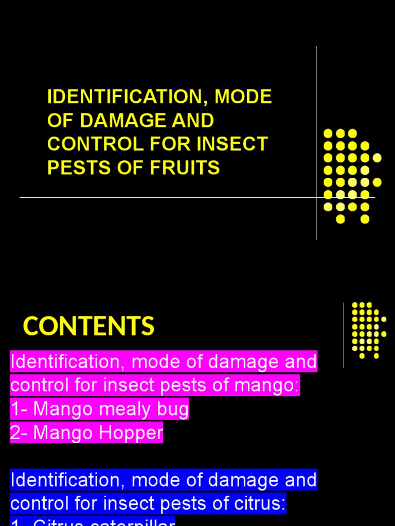 10-Insect Pests of Fruits | PDF | Biological Pest Control | Insects