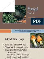 Kuliah 6 Fungi