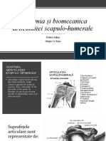 A+b Art. Scapulo-Humerala