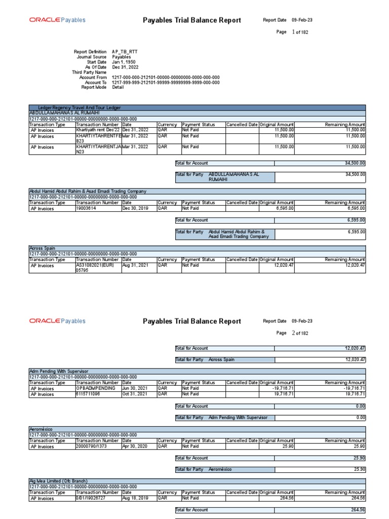 Payables Trial Balance Summary | PDF | Accounts Payable | Accounting