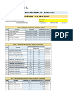 Informe Analisis Capacidad