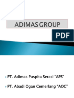 Aps Group PDF