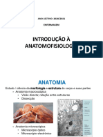 revisões conceitos gerais