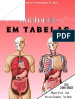 Anatomia em Tabelas