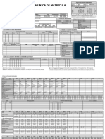 Identificación estudiantil