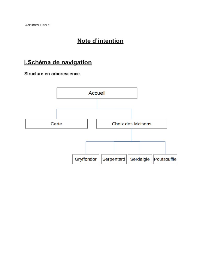 Exemple de note d'intention projet | PDF | Jeunes adultes