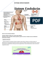 Sistem Endokrin