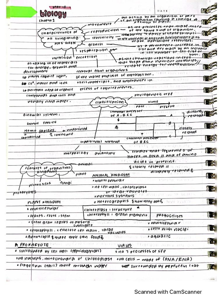 Igcse Biology Notes Chapter 1 Pdf