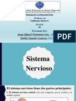 Sistema Nervioso-Jorge Miguel Victoriano Cruz y Darbin Ogando Contrera