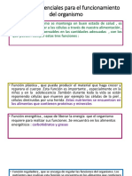 Nutrientes Esenciales para El Funcionamiento Del Organismo