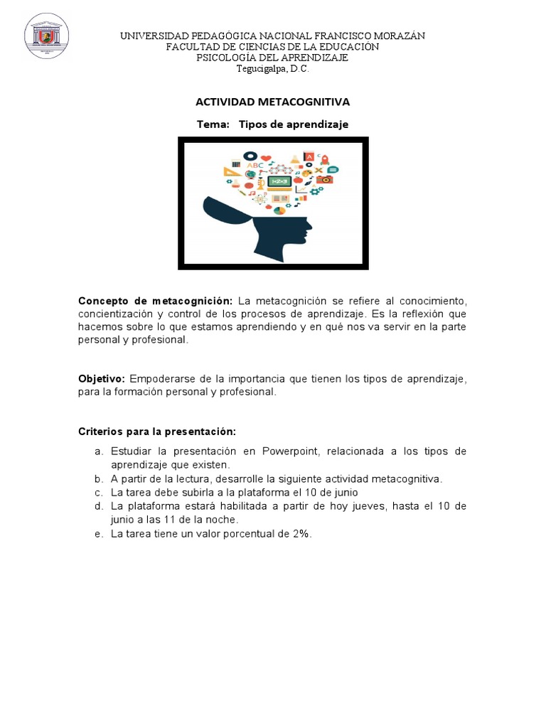 ACTIVIDAD METACOGNITIVA (1) DIDIER | PDF | Aprendizaje | Teoria de la mente