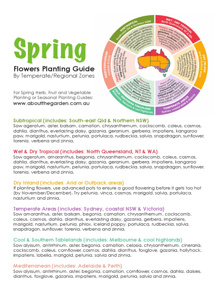 Spring Flowers Planting Guide PDF