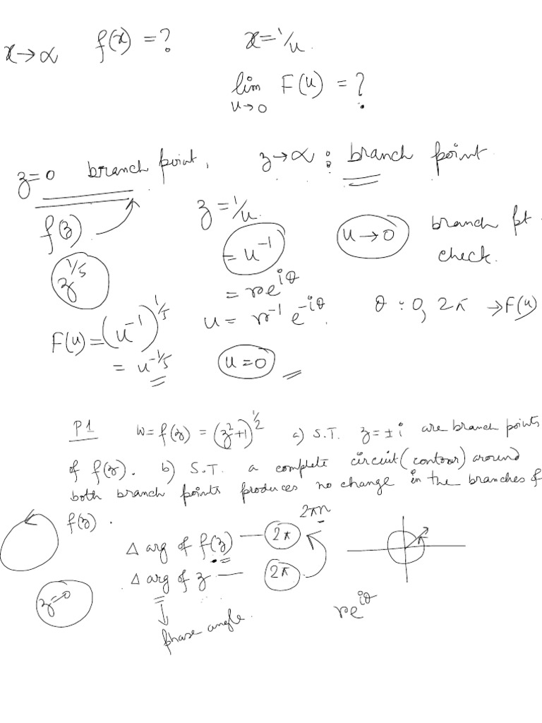 Complex Analysis Branch Cut Lec3 | PDF