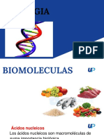 1 Biomolec