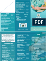 Final Triptico Congreso