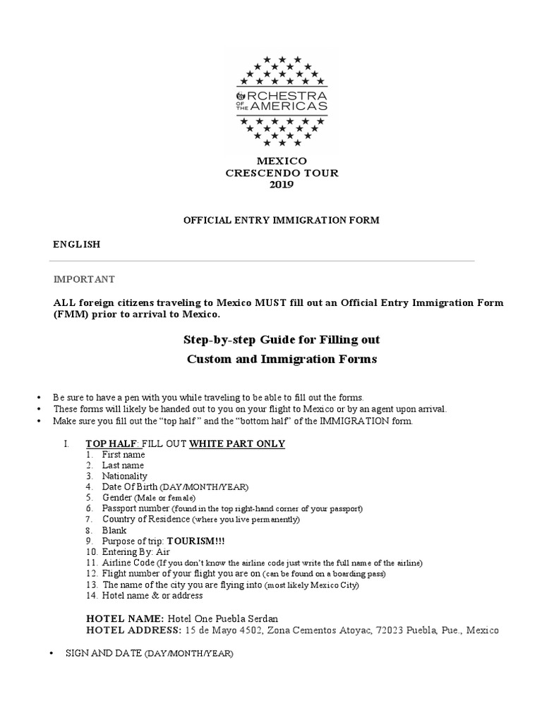 Step-by-Step Guide to Completing Mexico's Official Entry Immigration ...