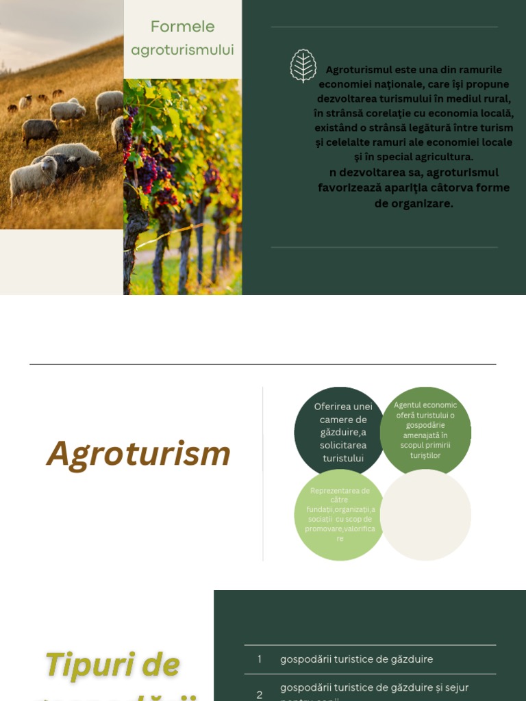 Formele Agroturismului | PDF