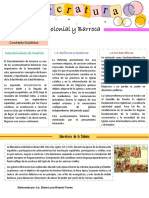 Guía Colonia y Barroco PDF