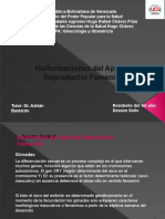 Malformaciones Femeninas Dessi-1