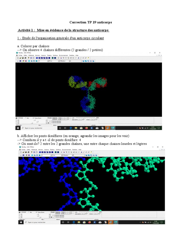 Correction TP Anticorps et Ouchterlony | PDF | Anticorps | Biotechnologie