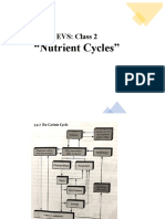 EVS Class 2 Nutrient Cycles Carbon Nitrogen Sulphur