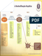 Lâmina -Destoxicação Hepática