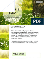 Flowers Meadow Nature PPT Widescreen