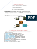 Los Reinos de La Naturaleza Clasificacion Del Reino Animal