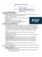 Curriculum Vitae 2 - English