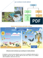 6 Act Apunte Interacción Entre Los Factores Del Medio Ambiente