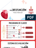 Morfofunción: Monitora: Anabelys Castro Profesor: Franklin Sasso