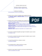 Sistema cardiovascular: componentes, estructuras y circulación