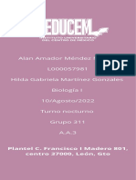 Alan Amador Méndez Merino L000057981 Hilda Gabriela Martínez Gonzales Biología I 10/agosto/2022 Turno Nocturno Grupo 311 A.A.3