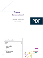 Rapport. Diagnostic Organisationnel. Présentation