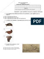 Guia Ciencias Sumativa