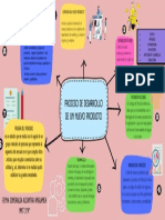 Proceso de Desarrollo de Un Nuevo Producto